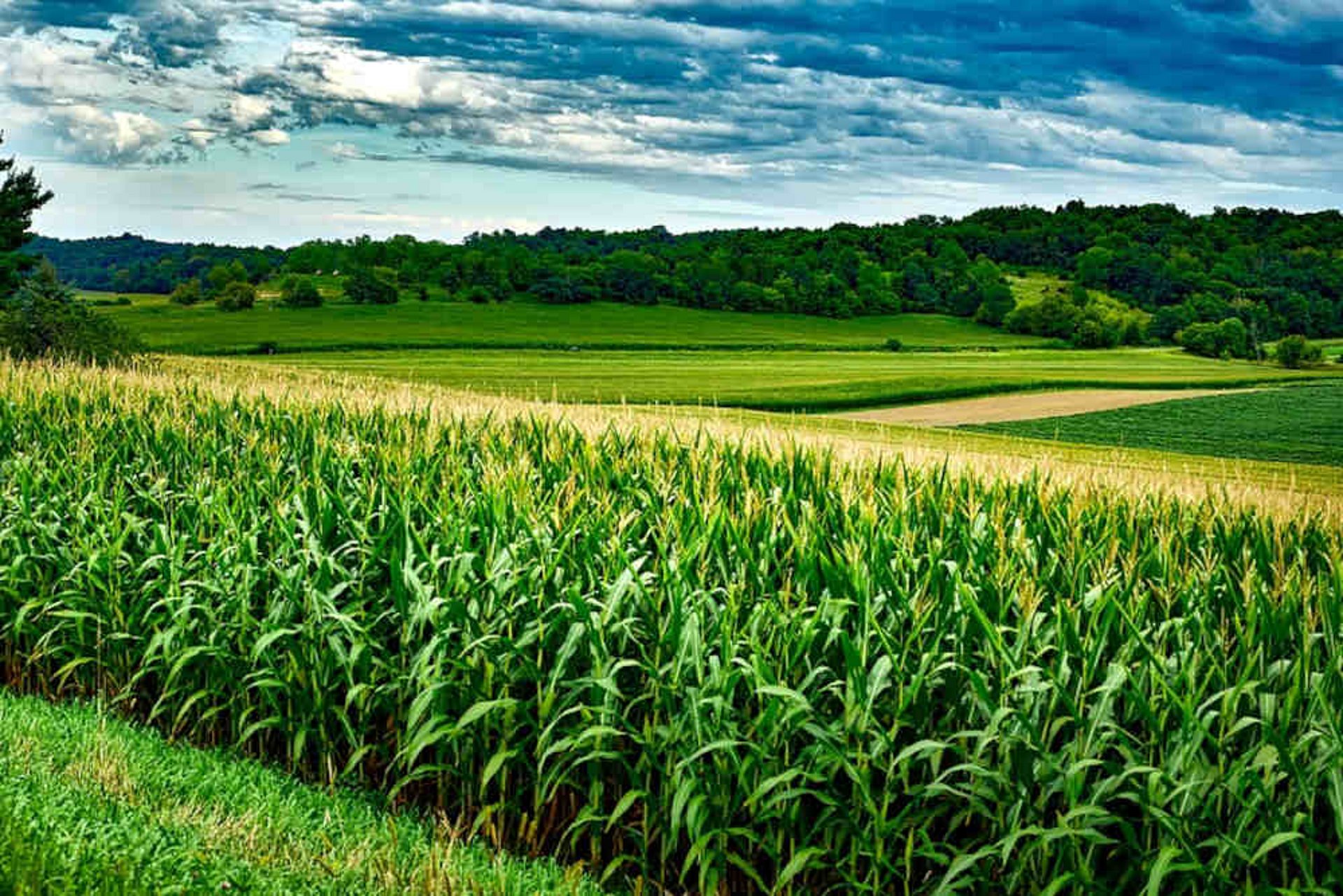 Es ist wichtig den gesamten Bestand durchgehend im Auge zu behalten.