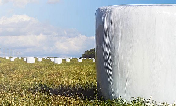 Las pacas de ensilado tienen un tamaño práctico y una buena calidad del forraje.