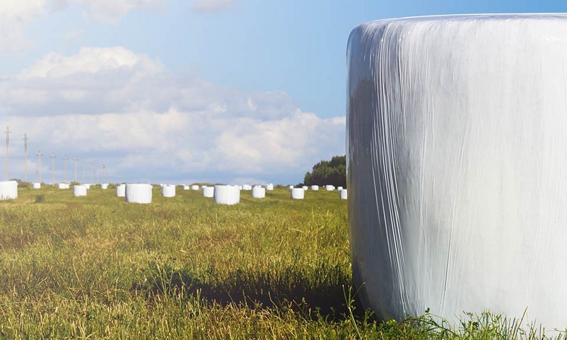 Kuilvoerbalen hebben een handige afmeting en goede voerkwaliteit.