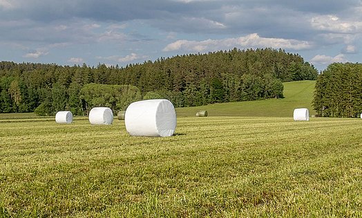 Die Rundballen werden beim Wickelvorgang mit der Agrarstretchfolie luftdicht verpackt.