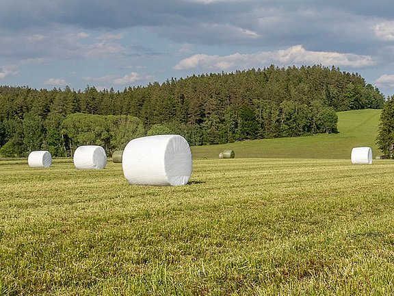 Affûteuse de lames pour l'agriculture : MS 100