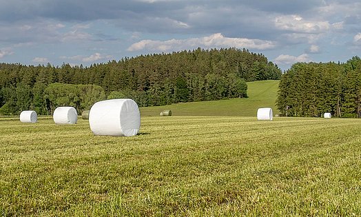 Die Rundballen werden beim Wickelvorgang mit der Agrarstretchfolie luftdicht verpackt.