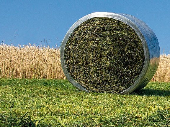 Hay and Haylage: what's the difference?