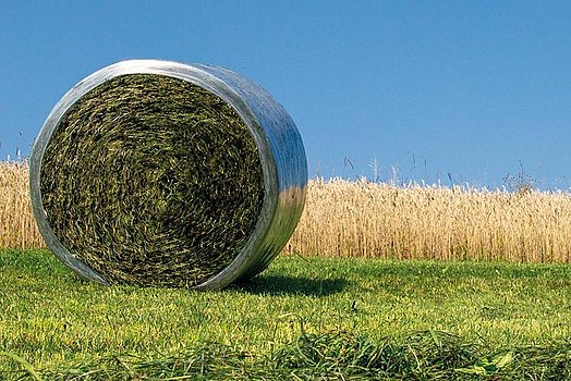 Kiszonka w belach z folią okrywającą staje się coraz popularniejsza.
