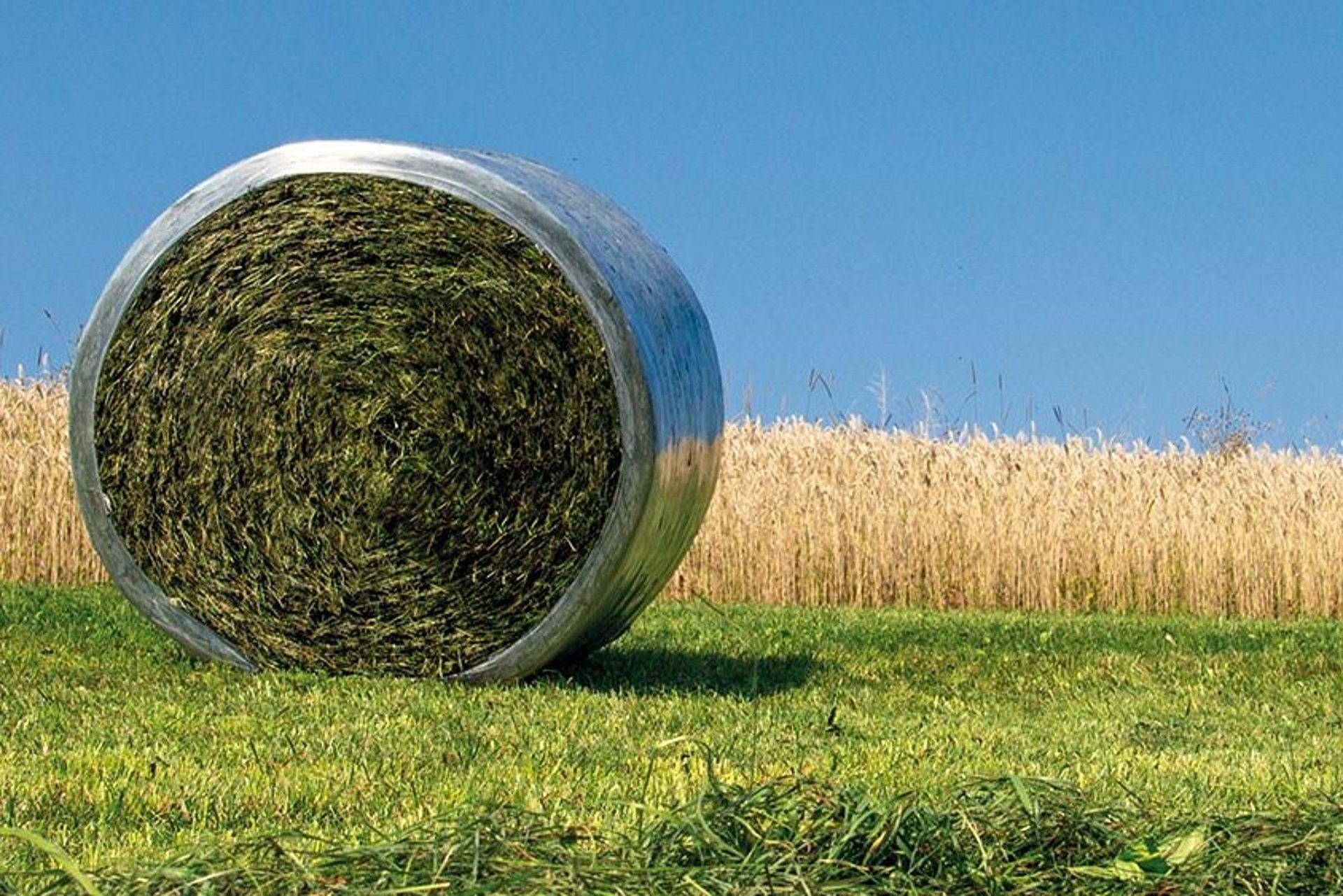 Kuilvoerbalen met mantelfolie worden steeds populairder.