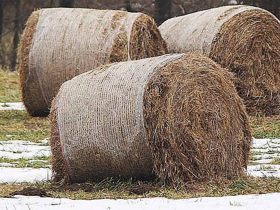 [Translate to Český:] 404 chyba - stránka neexistuje - Göweil