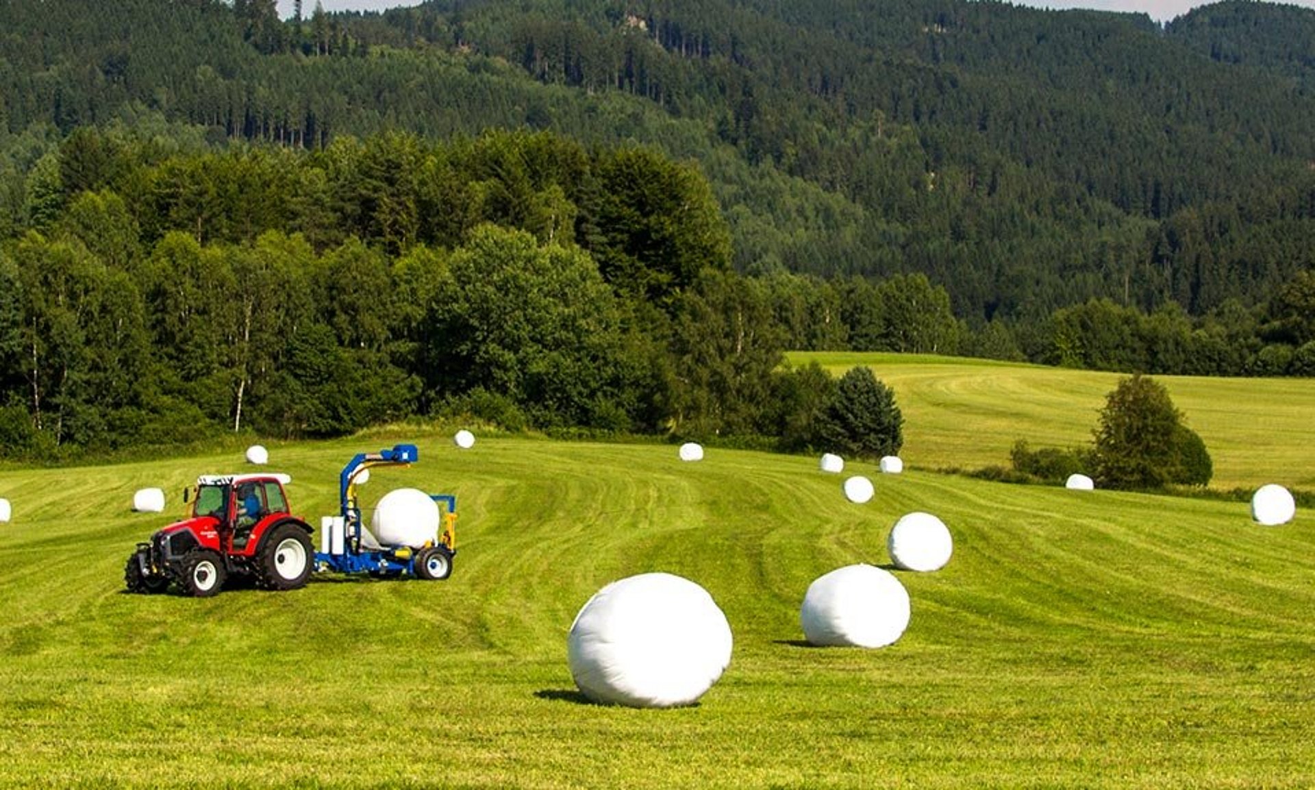 Les balles sont enrubannées directement dans le champ après le pressage.