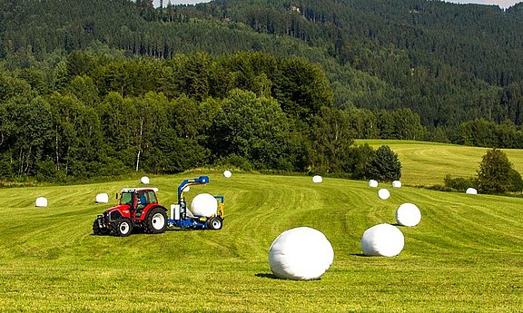 Después del prensado, las pacas son envueltas directamente en el campo.