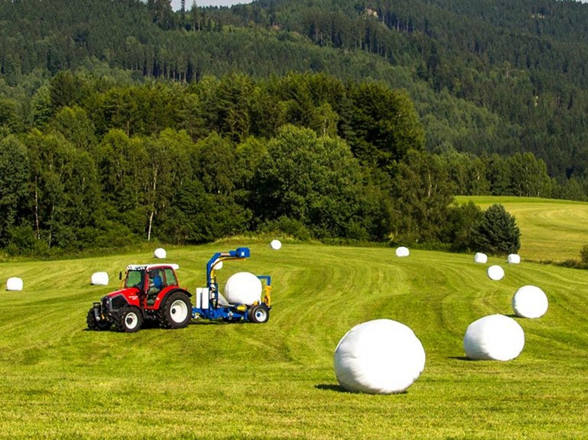 Les balles sont enrubannées directement dans le champ après le pressage.