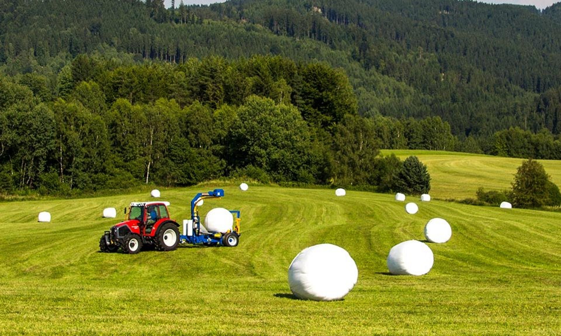 Después del prensado, las pacas son envueltas directamente en el campo.