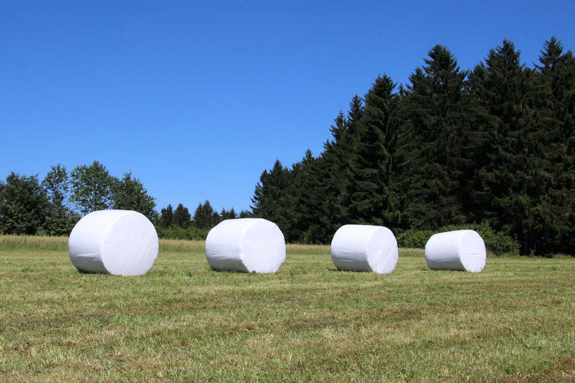 Dobre zagęszczenie i stabilniejszy proces kiszenia można osiągnąć przy krótszej długości cięcia.