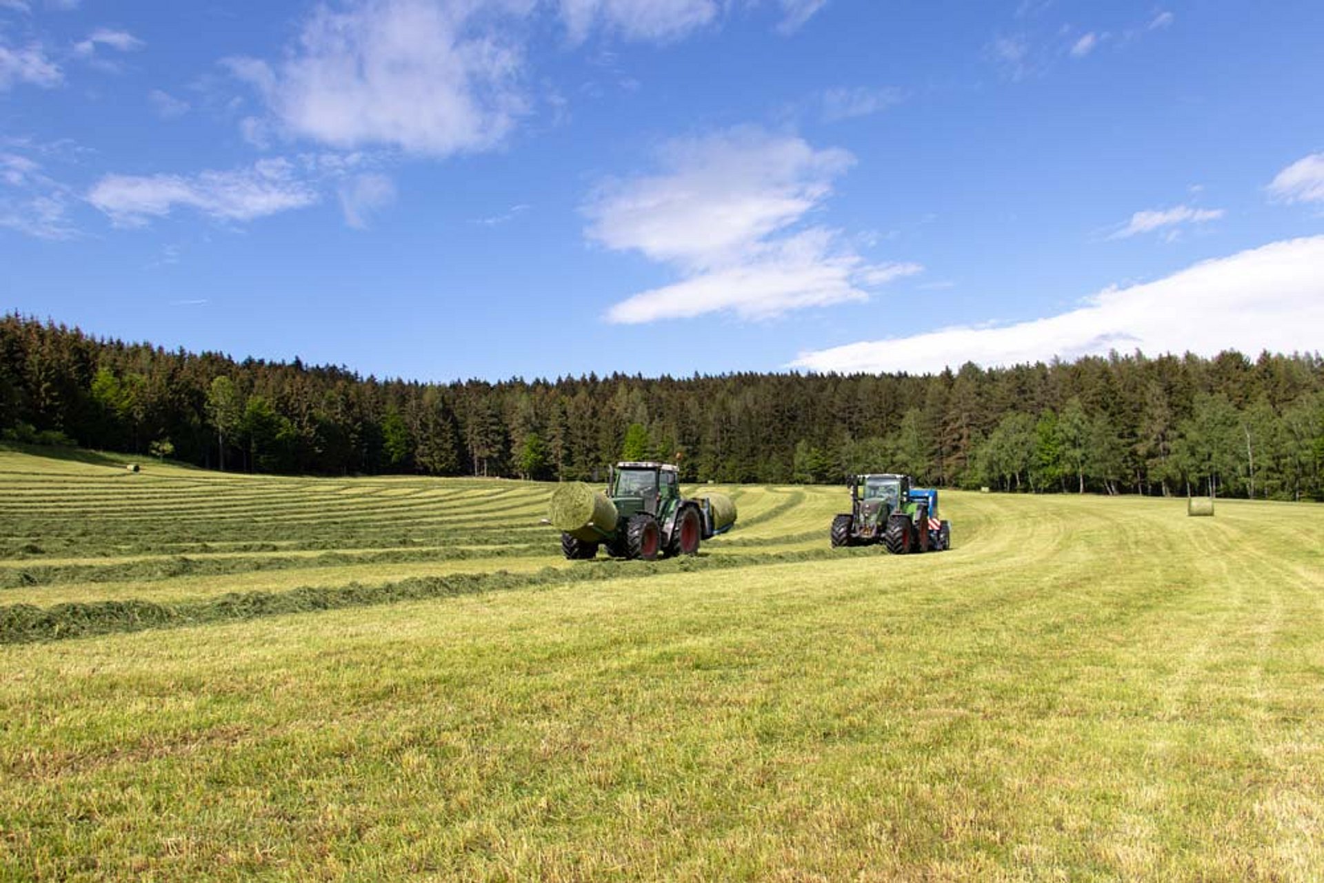 While Johann is still baling, Hans-Peter is already transporting the bales back to the farm.