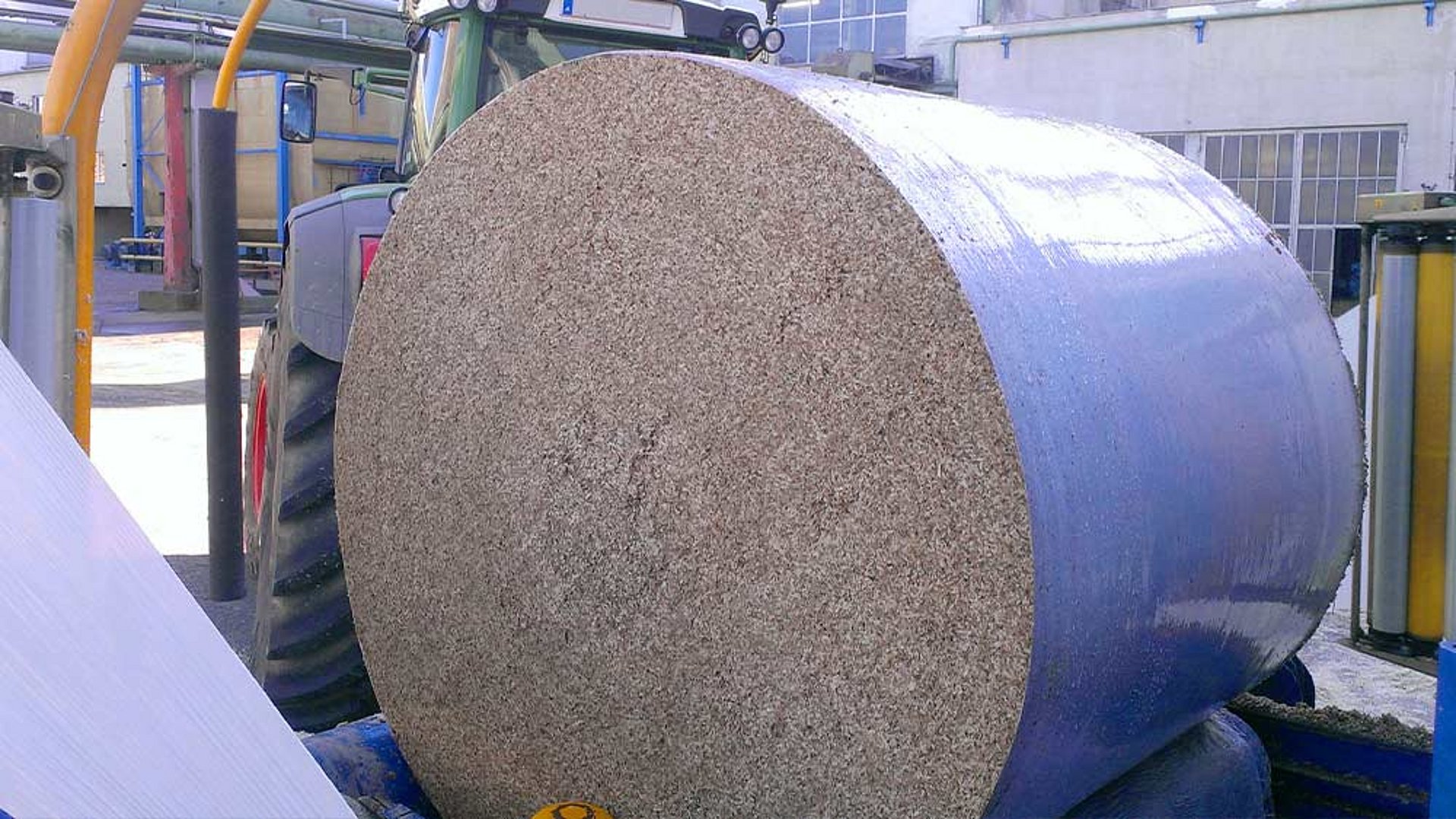 Řízky z cukrové řepy