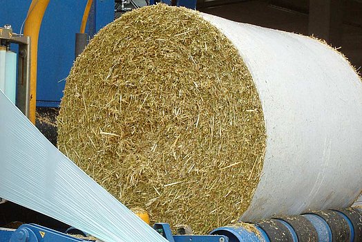 Rundballen aus Gerste-GPS