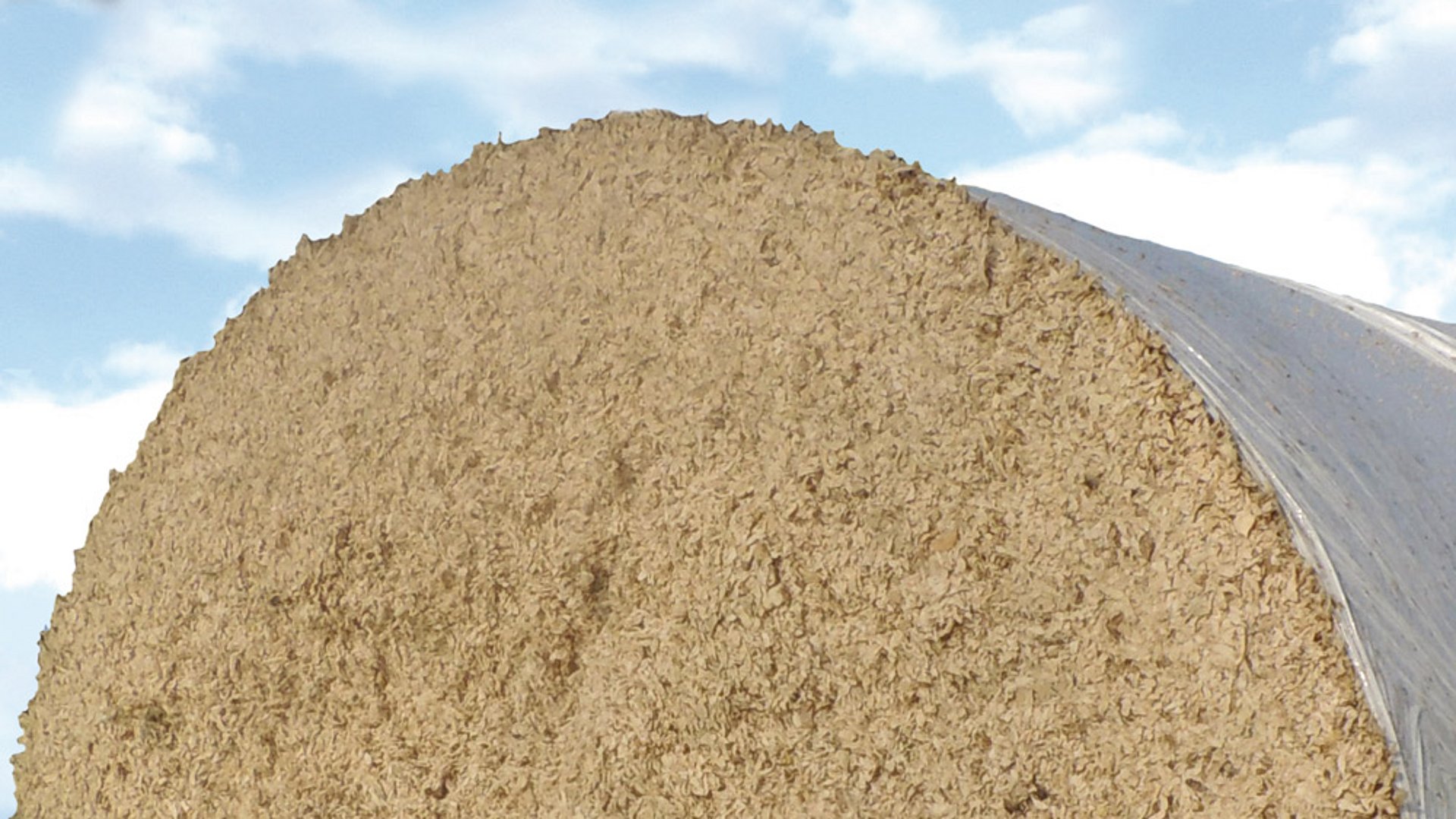 Finished bales of sugar beet pulp