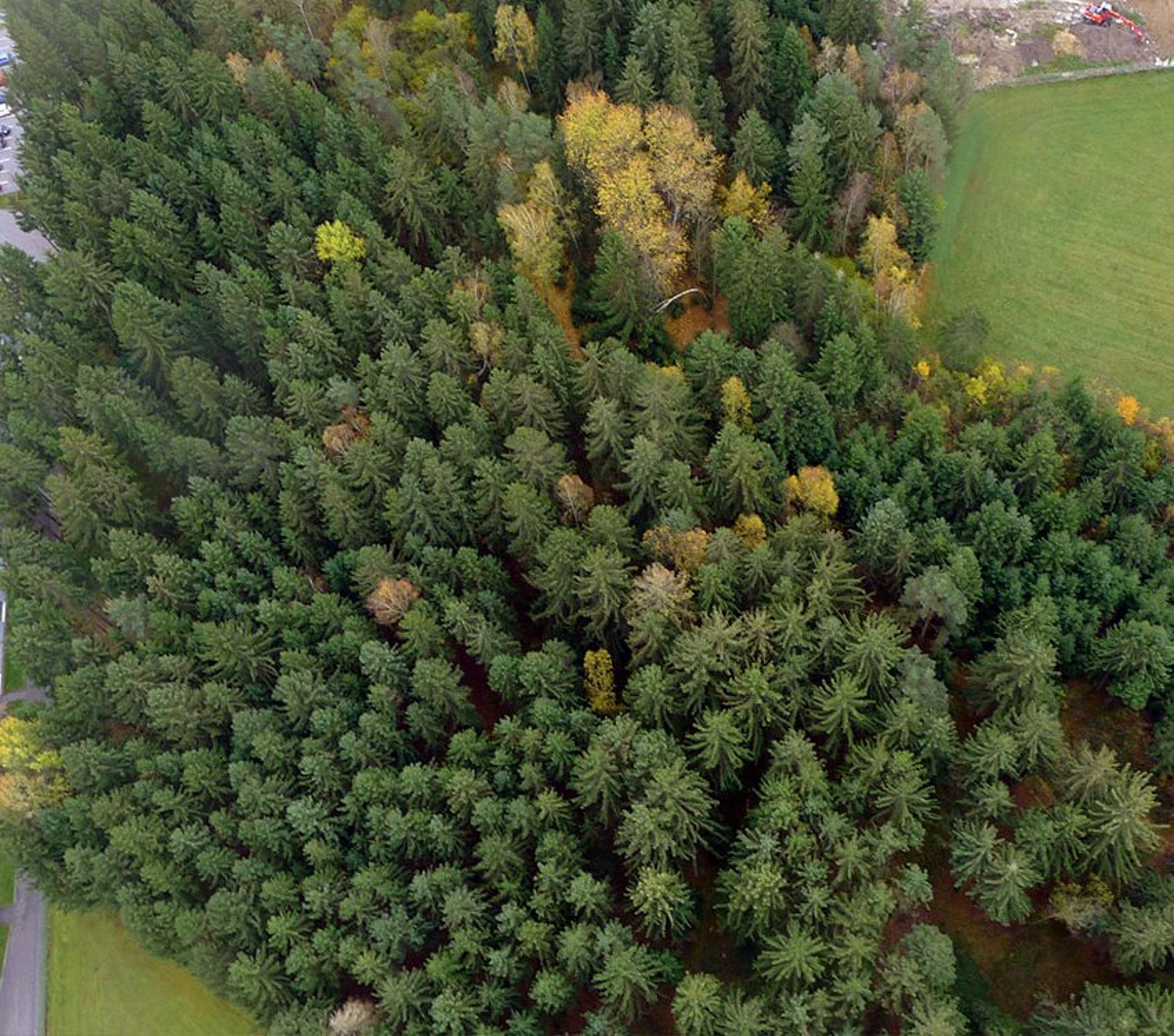 Aankoop van een bedrijfsgrondstuk in Rainbach im Mühlkreis.