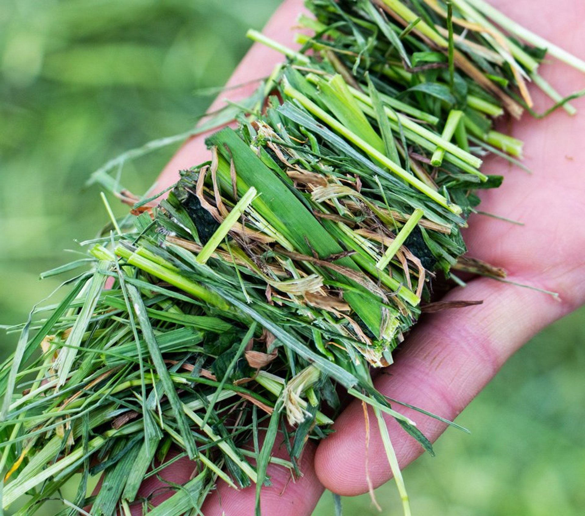 Met de 30 tweesnijdende messen wordt een snijlengte van slechts 35 mm behaald.