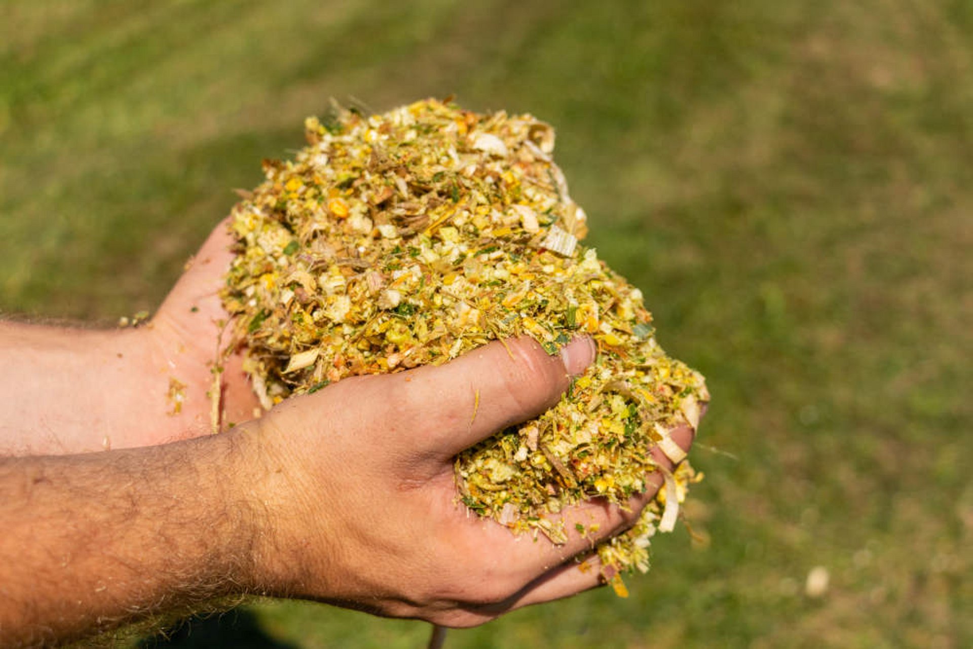 Die Qualität des Futter ist entscheidend für die Tiergesundheit.
