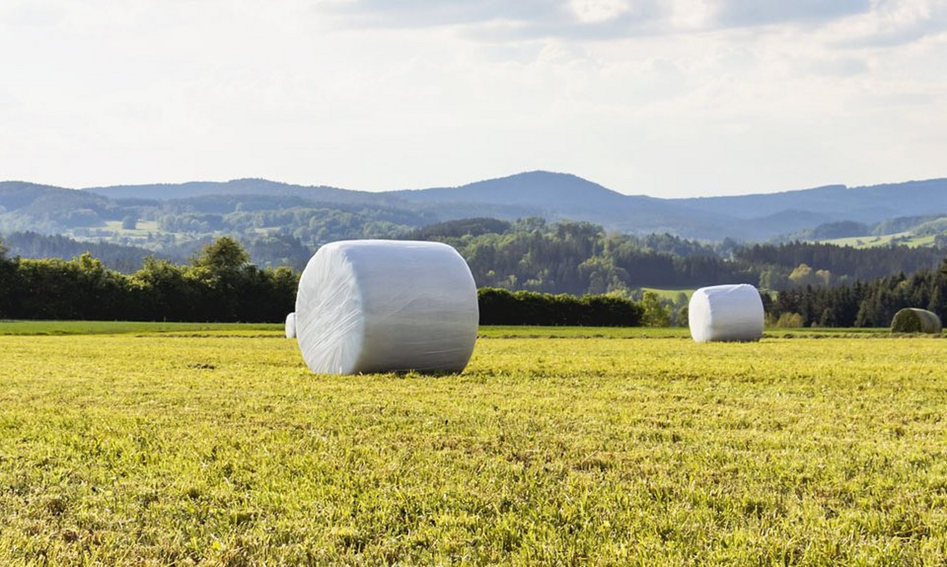 Wrapping film that works reliably is a vital prerequisite for quality silage.