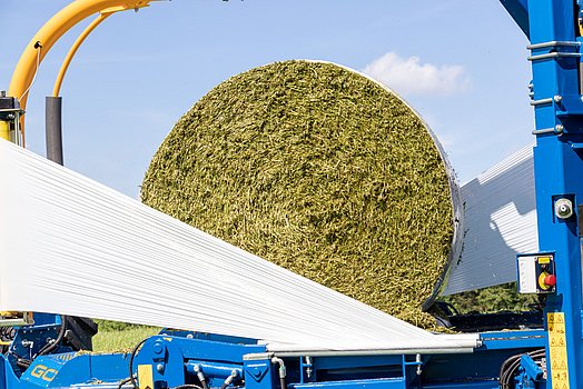 Finished bales of grass silage Finished bales of grass silage