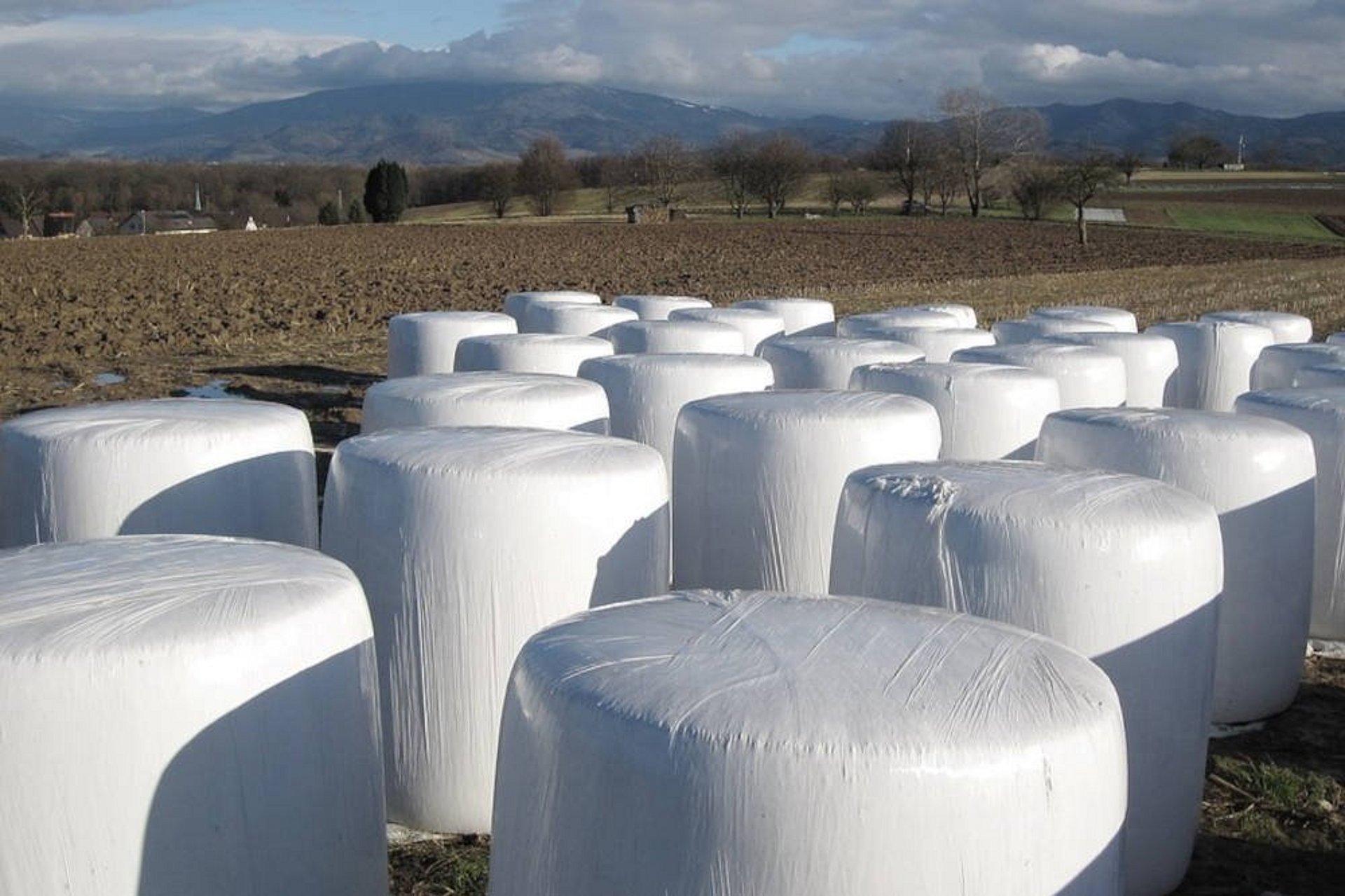 Die Ballen sollten auf einem festen, geraden und sauberen Untergrund gelagert werden.