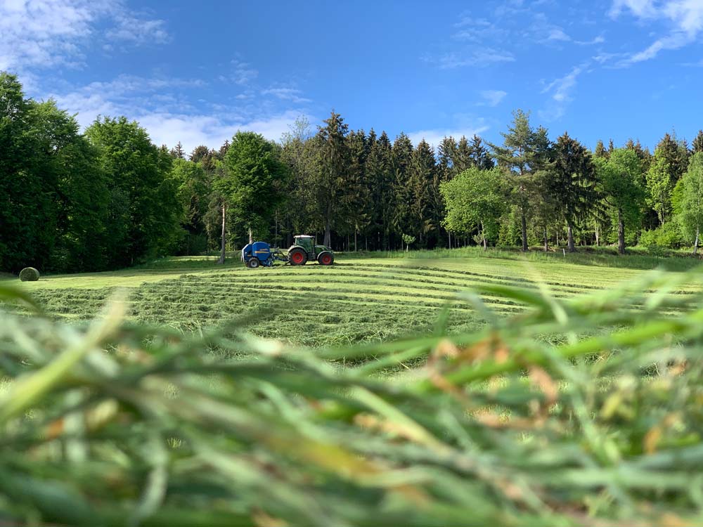 Es werden jährlich ca. 2.000 Ballen gepresst.