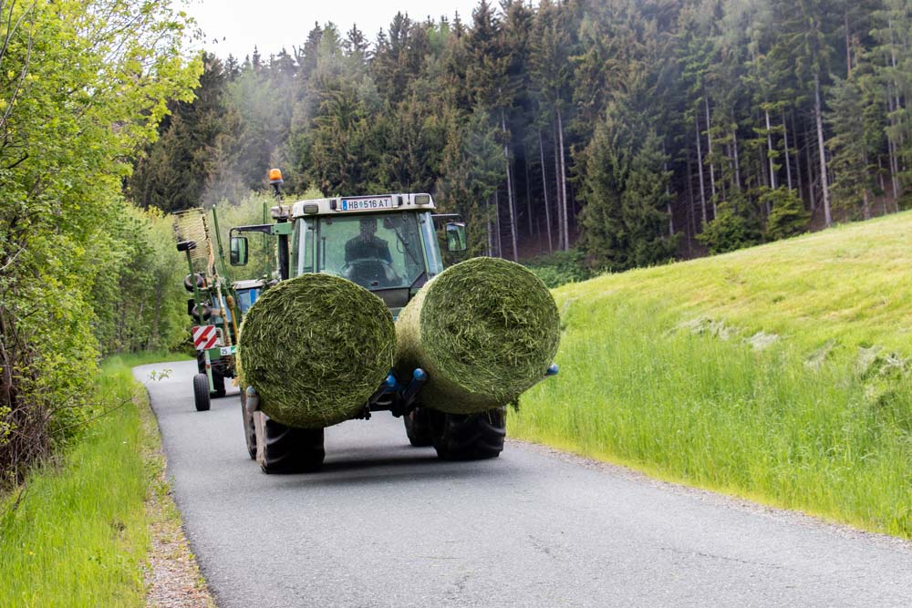 Mit dem DTR werden die noch ungewicklelten Ballen zum Hof transportiert.