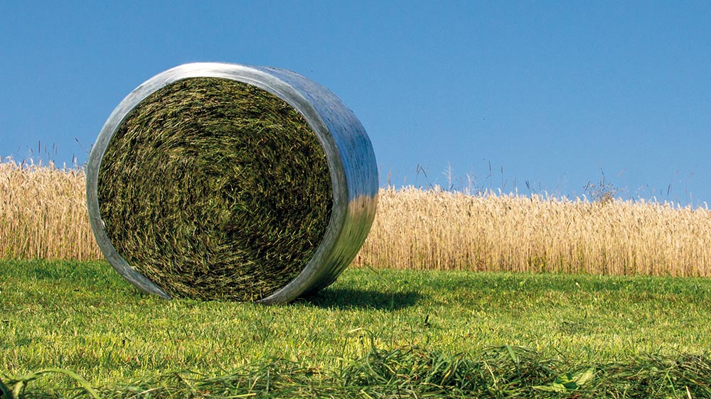 Ballensilage mit Mantelfolie wird zunehmend beliebter.