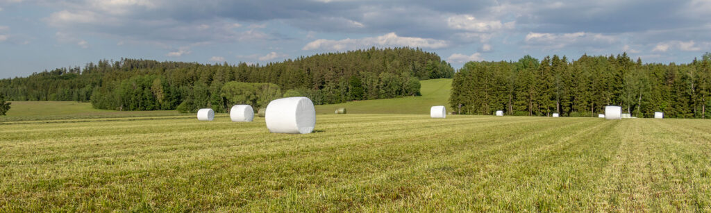 Les balles rondes sont conditionnées de manière étanche à l’air lors de l’enrubannage avec le film étirable agricole.