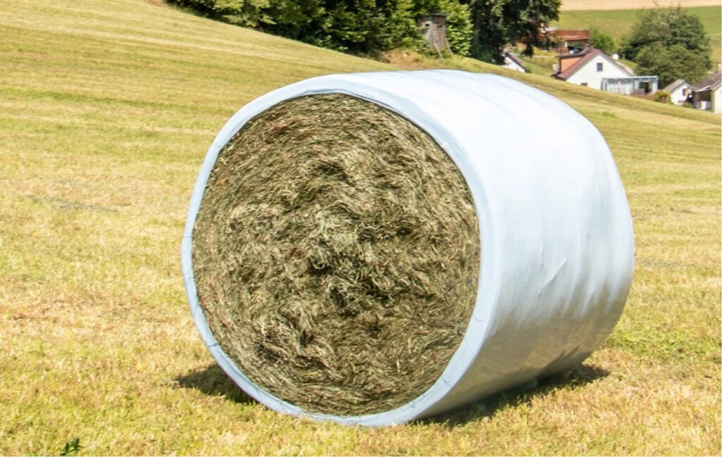 Correct storage of silage bales – example 3